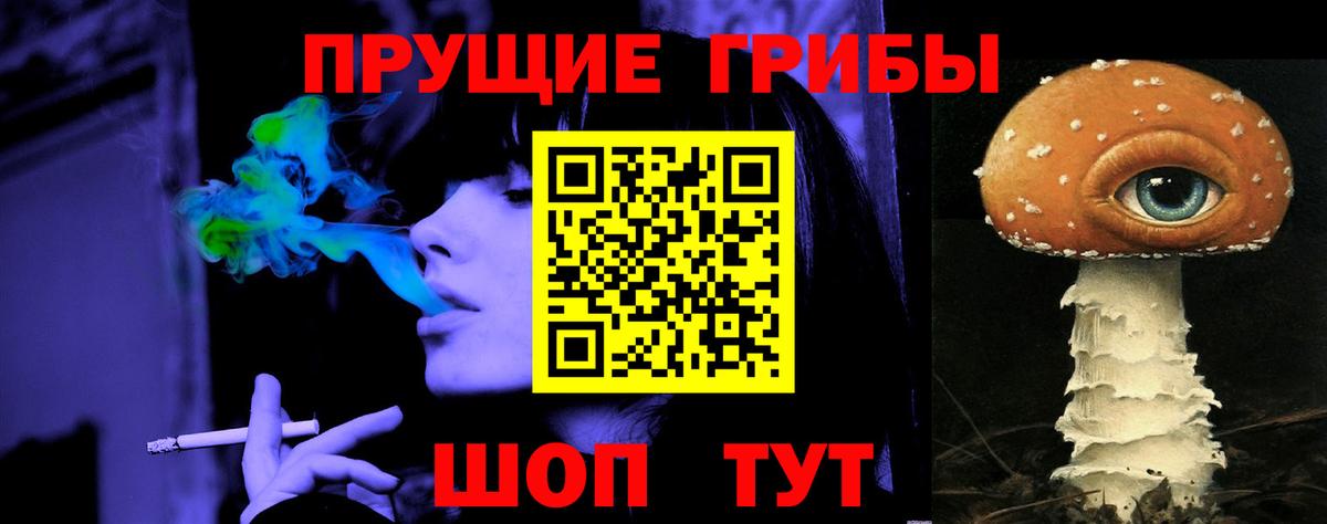 Галлюциногенные грибы Psilocybine cubensis Павловский Посад